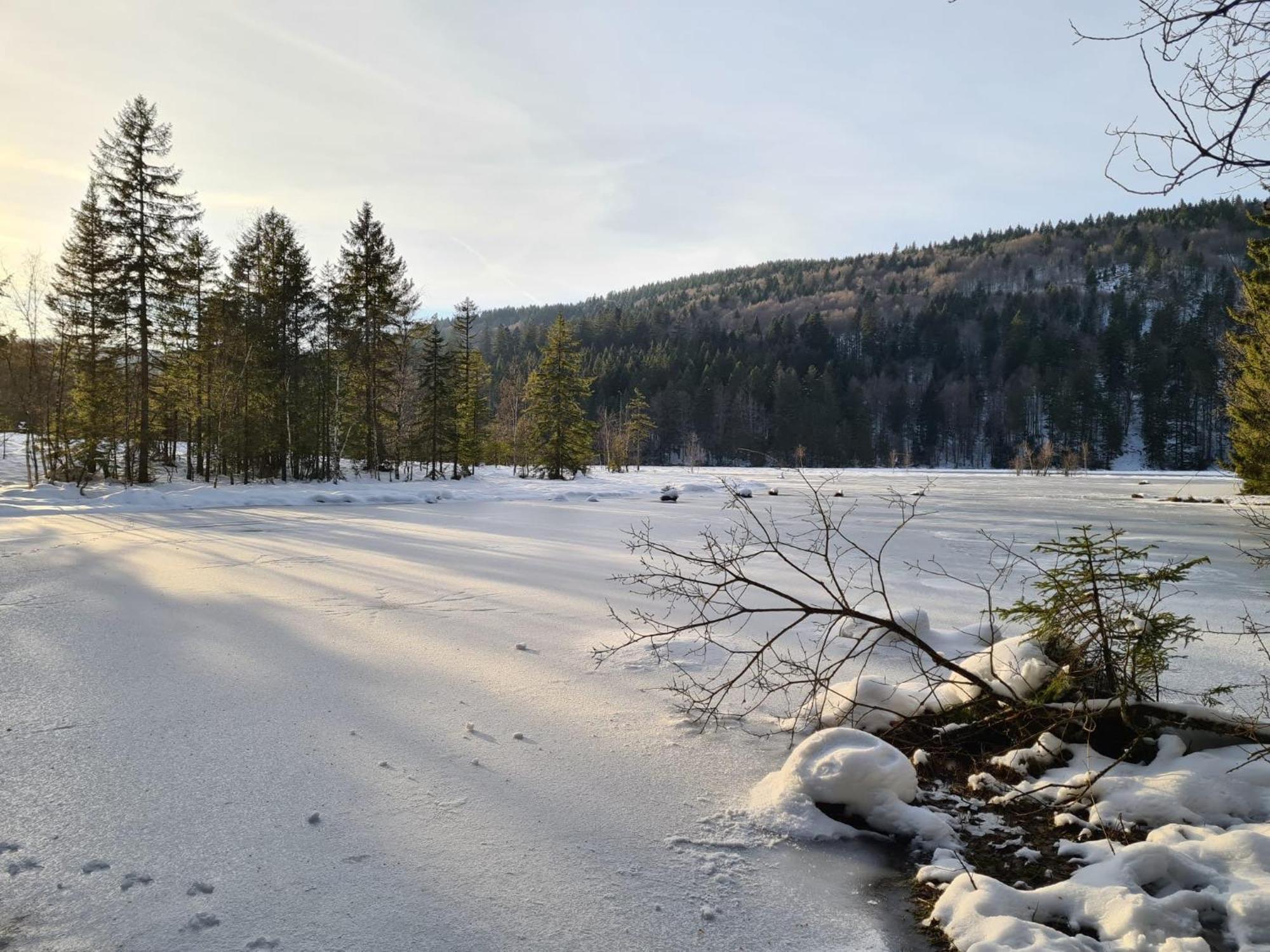 Le Renard Des Vosges Villa La Croix-aux-Mines Buitenkant foto